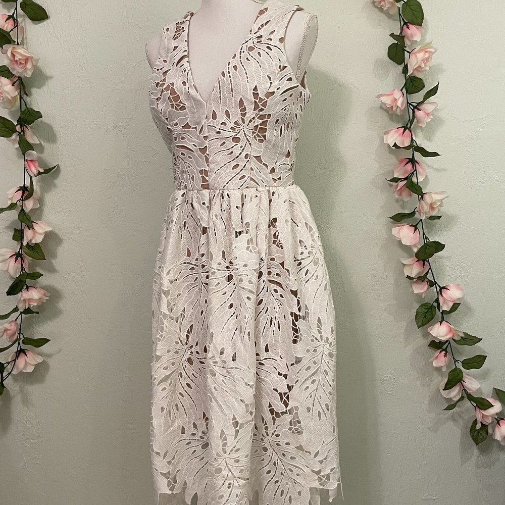 Dress the Population Lace Monstera A line Dress